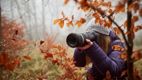 زن عکاس در پاییز