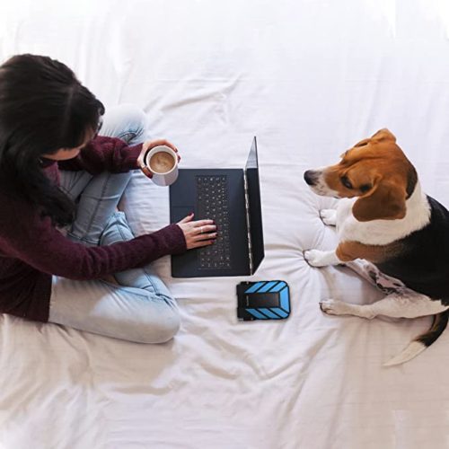 هارد اکسترنال ADATA HD710 PRO 1TB و دختر با لپ تاپ و سگ خانگی